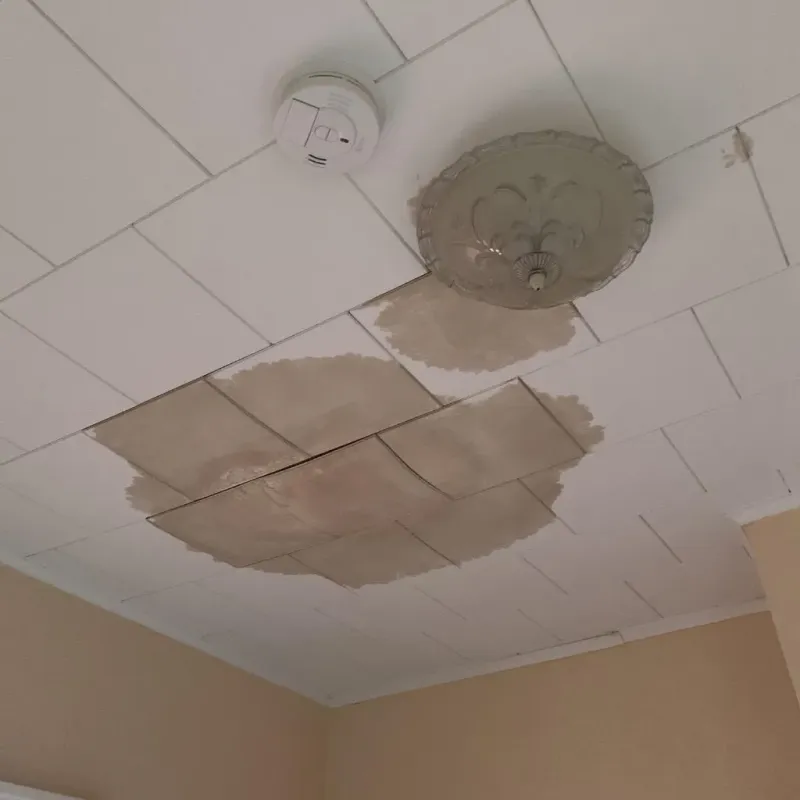 Ceiling Water Damage Repair in Hinds County, MS