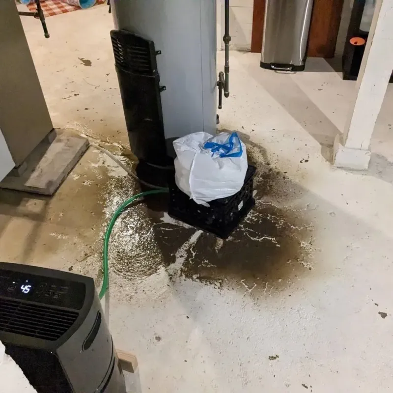Sewage Backup Cleanup Service in Hinds County, MS